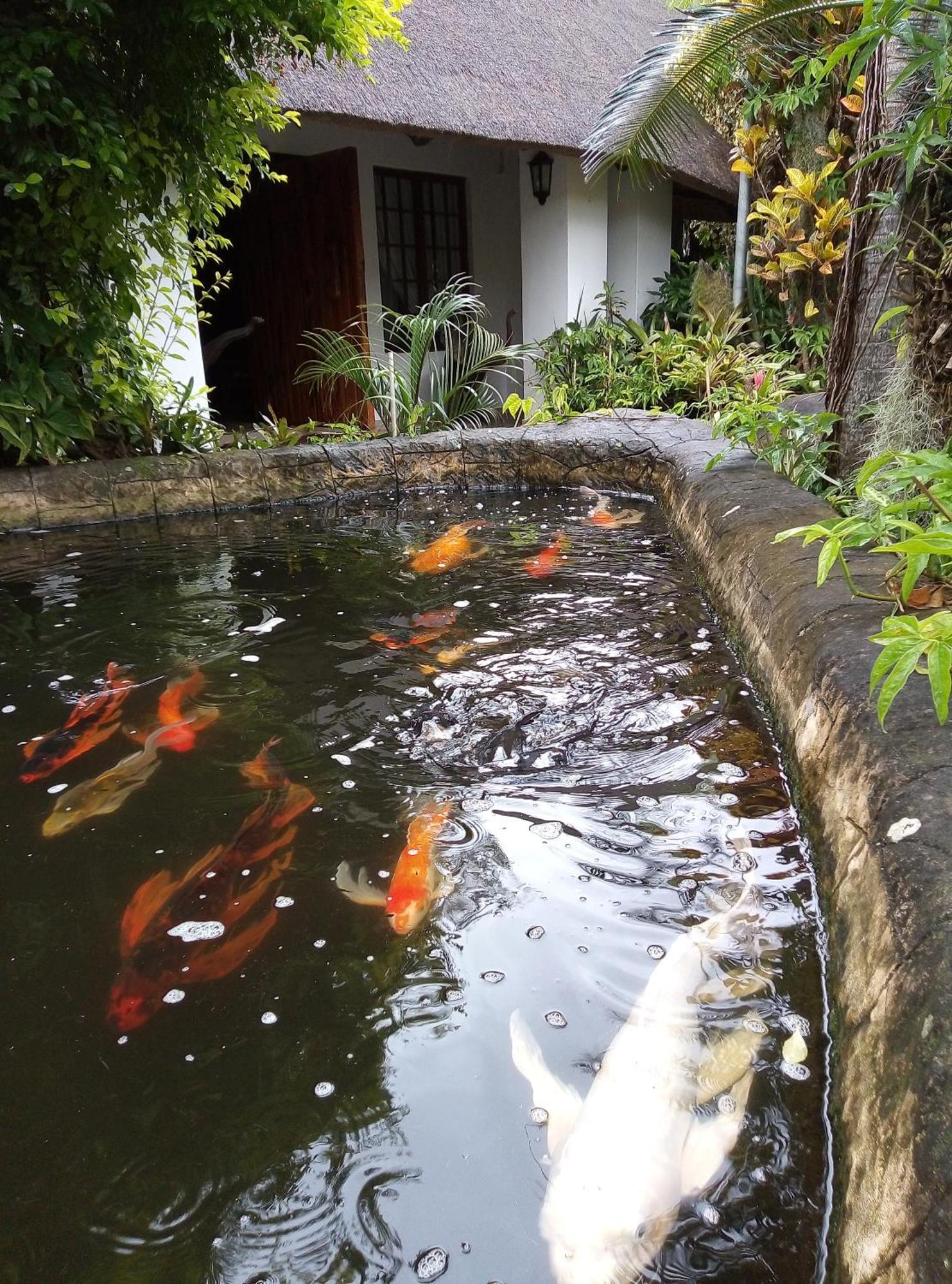African Ambience Guest House St Lucia Luaran gambar