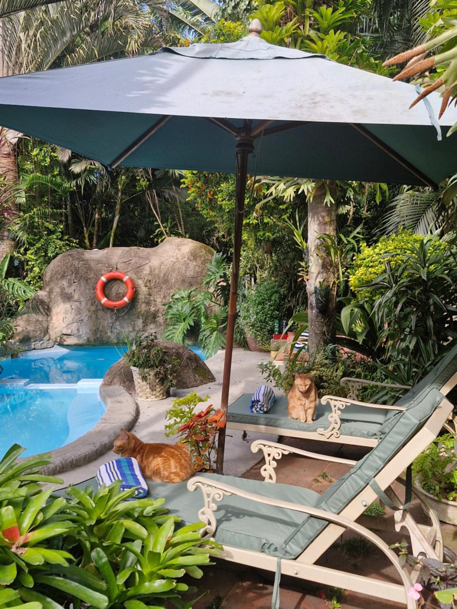 African Ambience Guest House St Lucia Luaran gambar