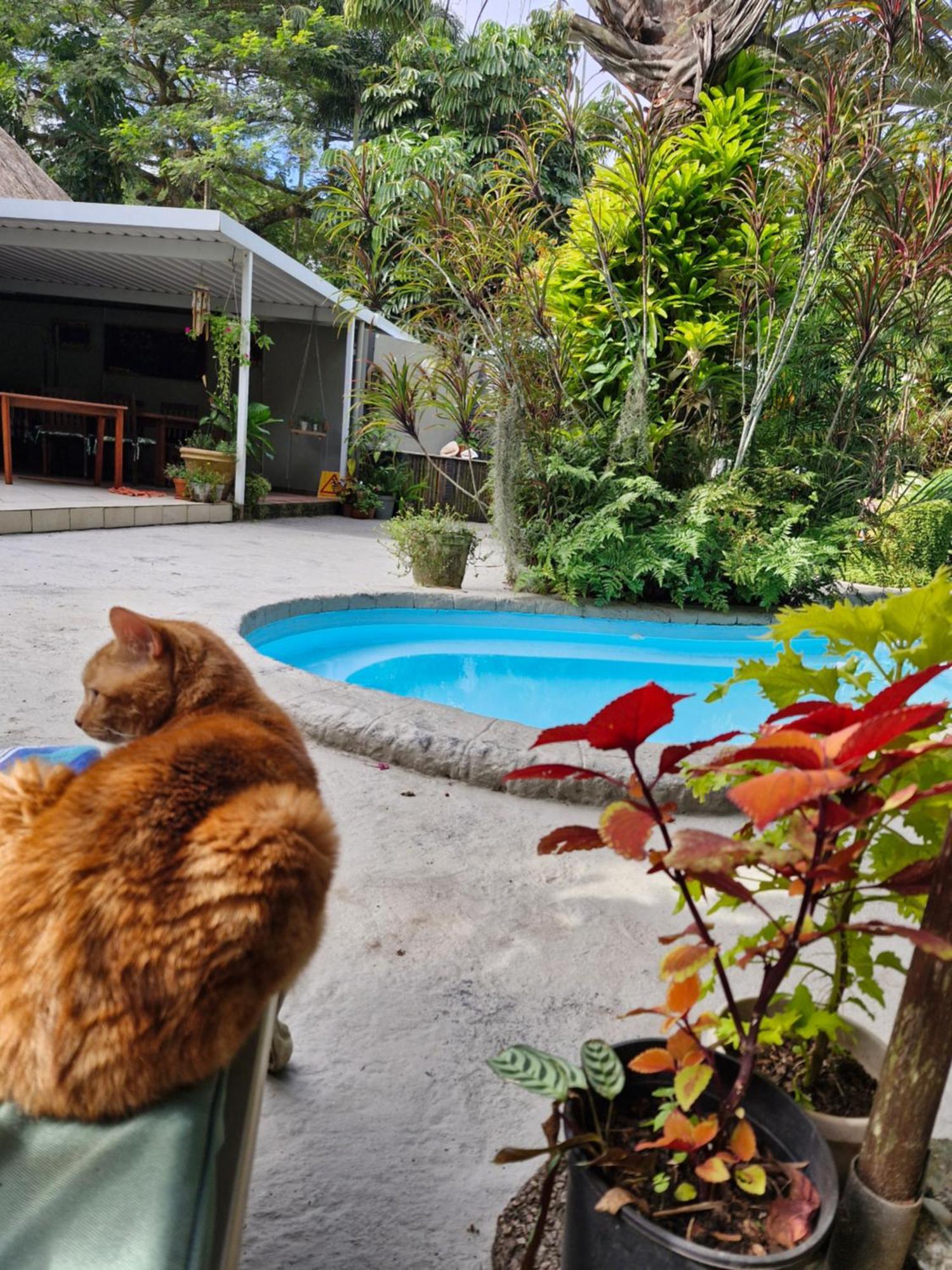 African Ambience Guest House St Lucia Luaran gambar