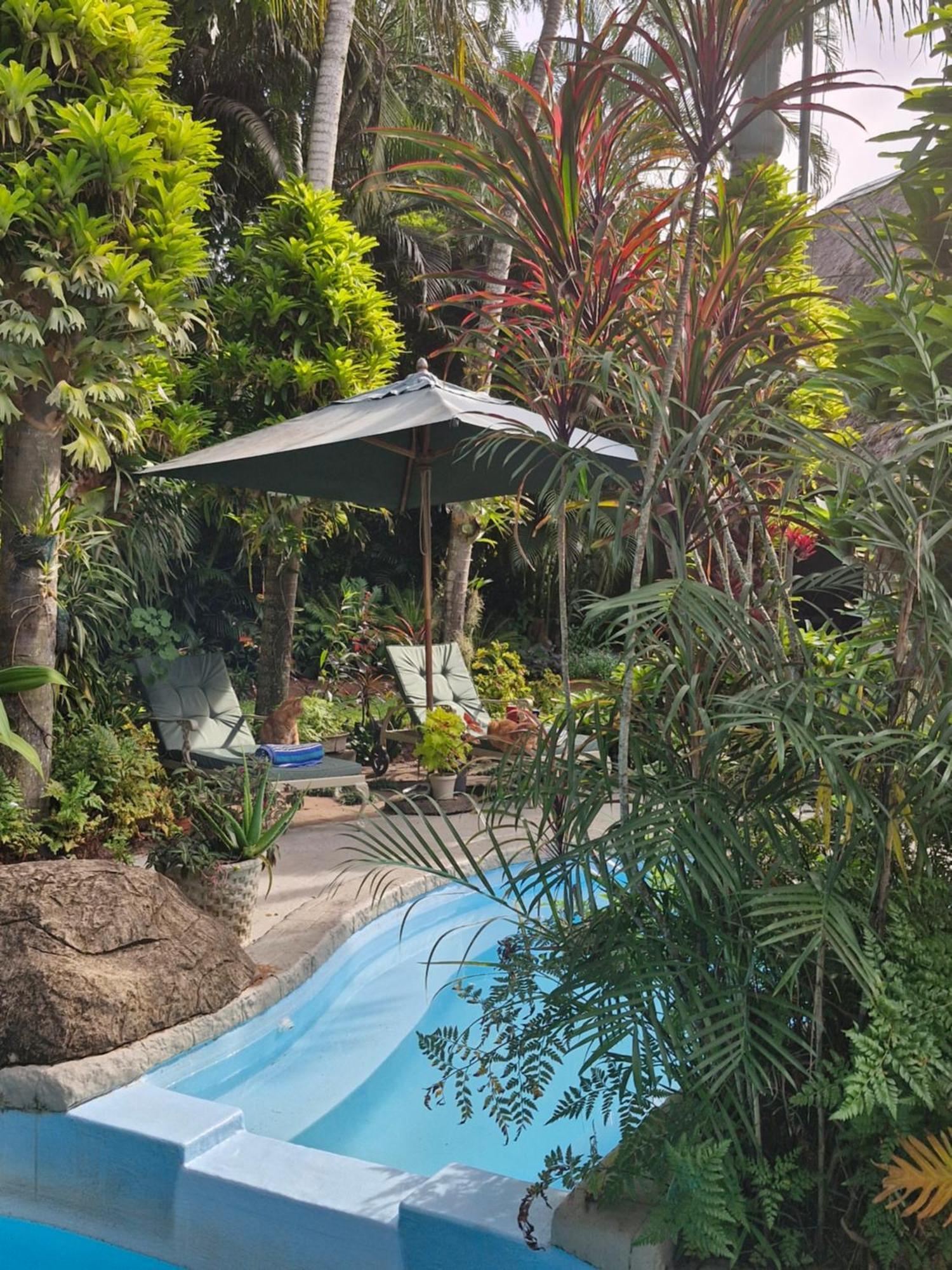 African Ambience Guest House St Lucia Luaran gambar
