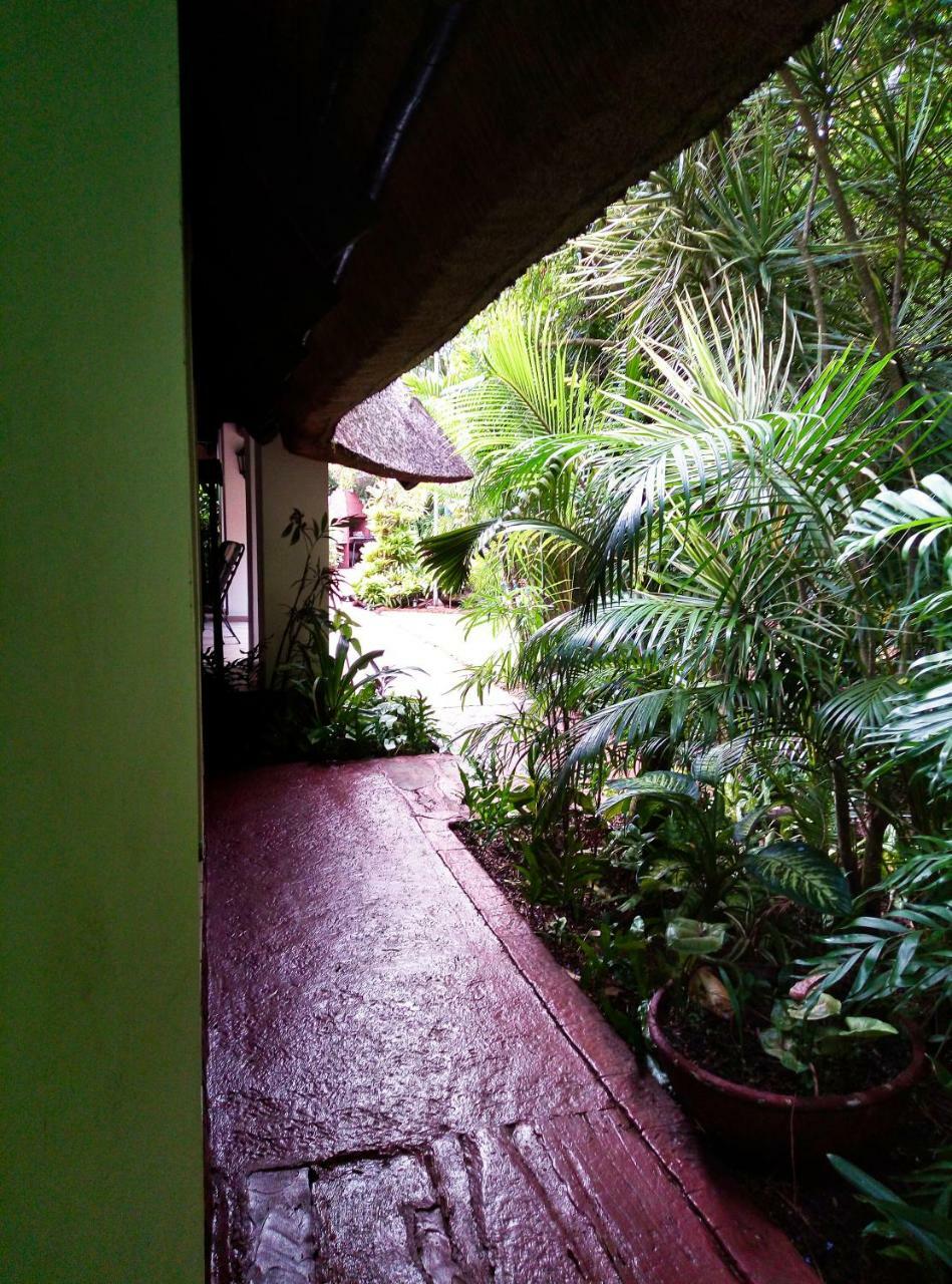 African Ambience Guest House St Lucia Luaran gambar